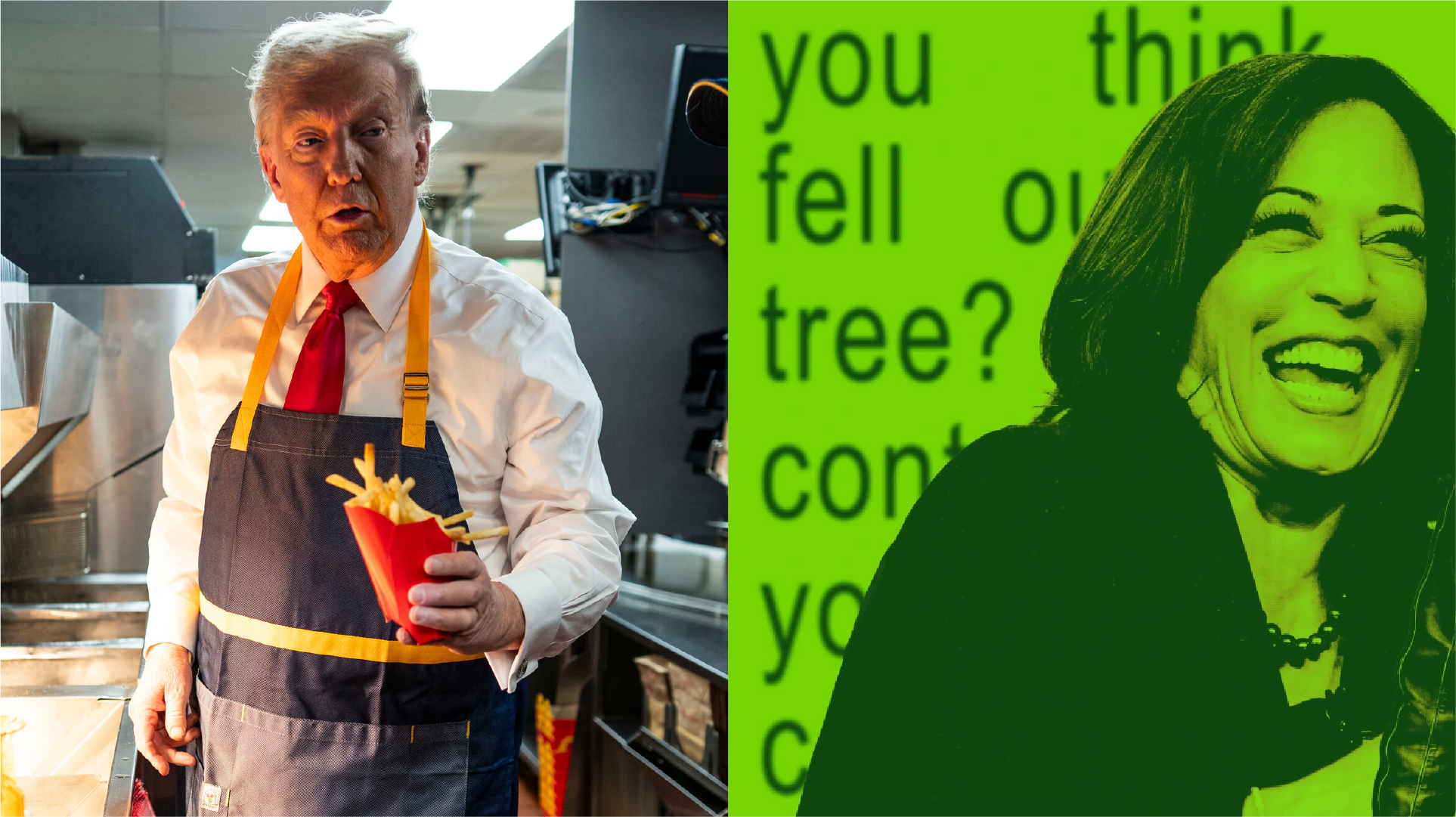 lessons-from-trumps-and-harriss-social-media-campaigns